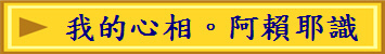 ڪ߬ۡCC